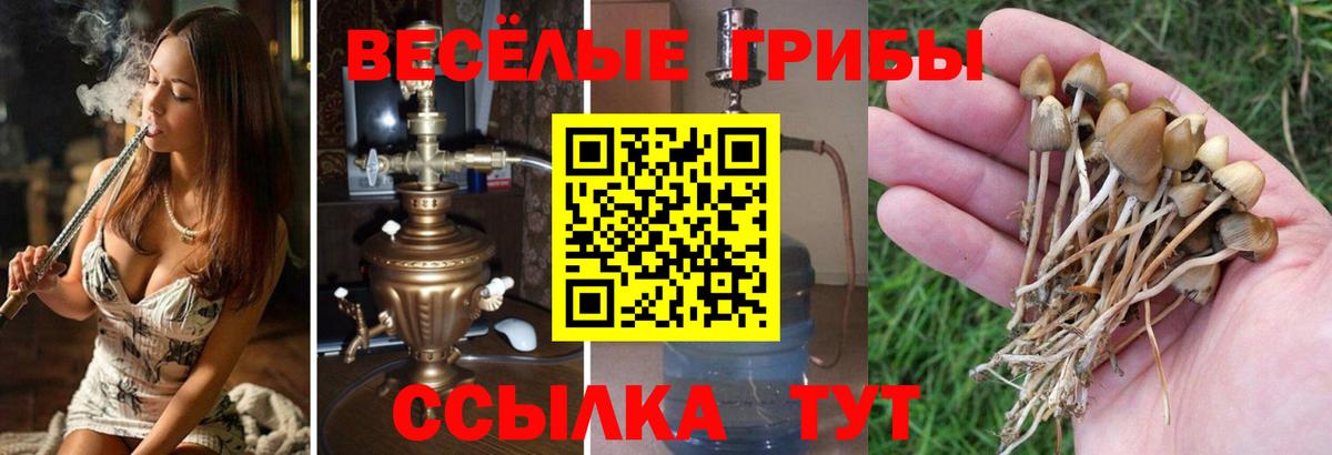 Реутов  Псилоцибиновые грибы мицелий  Вход с VPN 